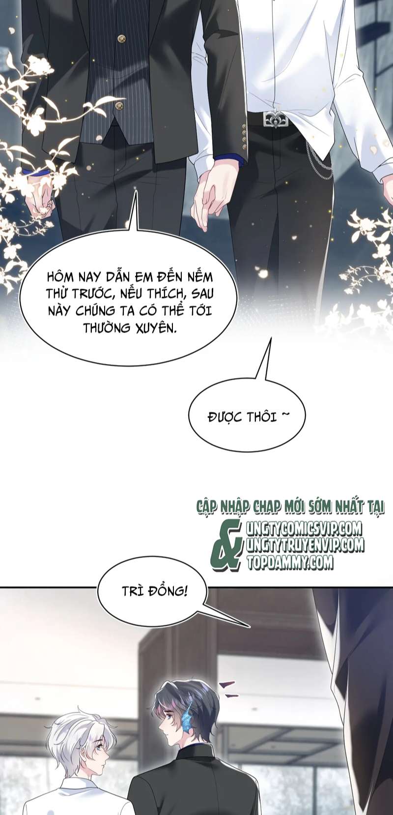 Tuyệt Mỹ Bạch Liên Online Dạy Học Chapter 205 - Trang 2