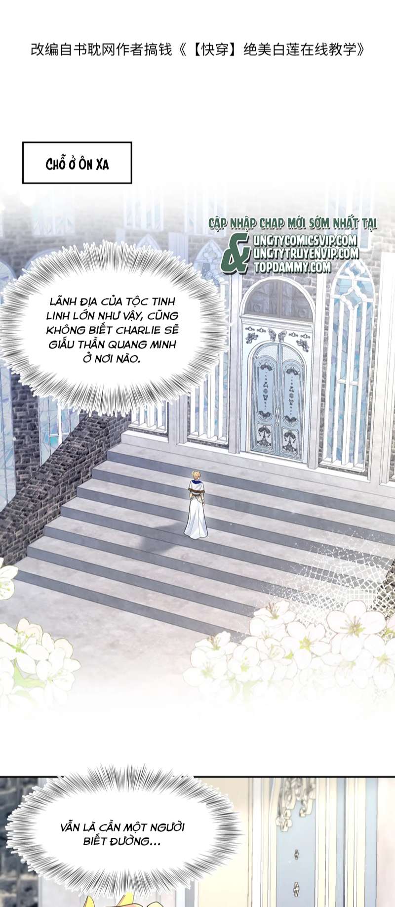 Tuyệt Mỹ Bạch Liên Online Dạy Học Chapter 240 - Trang 2