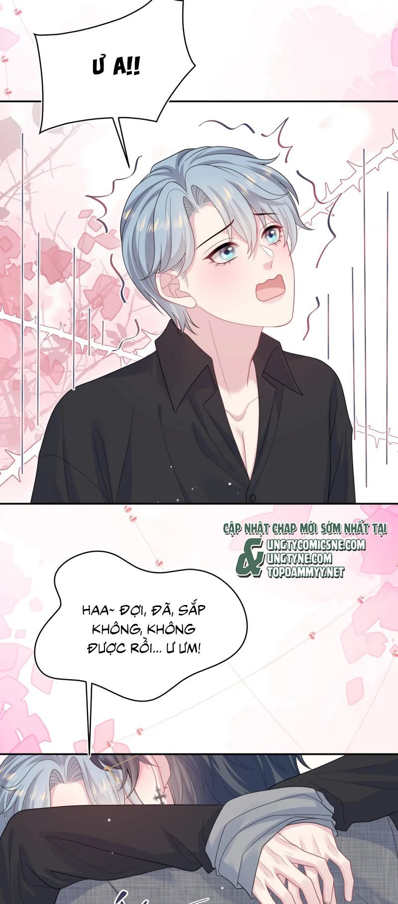 Tuyệt Mỹ Bạch Liên Online Dạy Học Chapter 462 - Trang 2