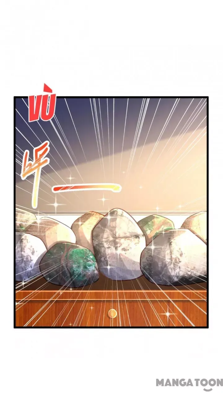 Tuyệt Phẩm Y Thánh Chapter 246 - Trang 2