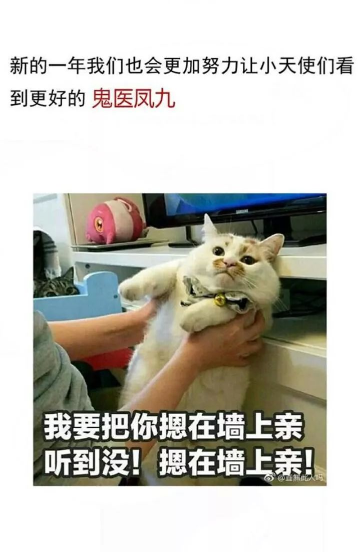 Tuyệt Sắc Quyến Rũ: Quỷ Y Chí Tôn Chapter 117 - Trang 2