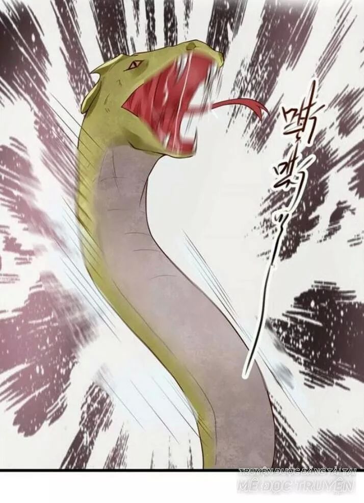 Tuyệt Sắc Quyến Rũ: Quỷ Y Chí Tôn Chapter 118 - Trang 2