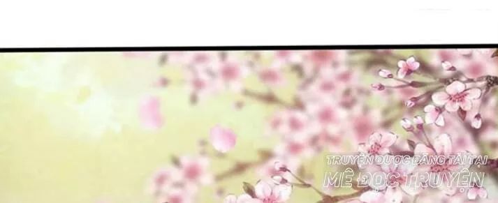 Tuyệt Sắc Quyến Rũ: Quỷ Y Chí Tôn Chapter 120 - Trang 2