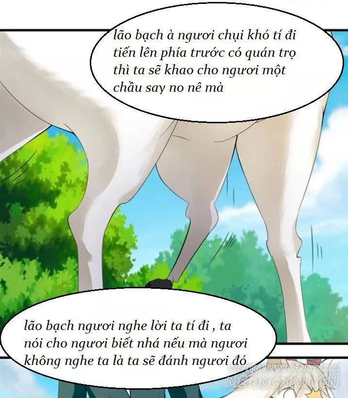 Tuyệt Sắc Quyến Rũ: Quỷ Y Chí Tôn Chapter 122 - Trang 2