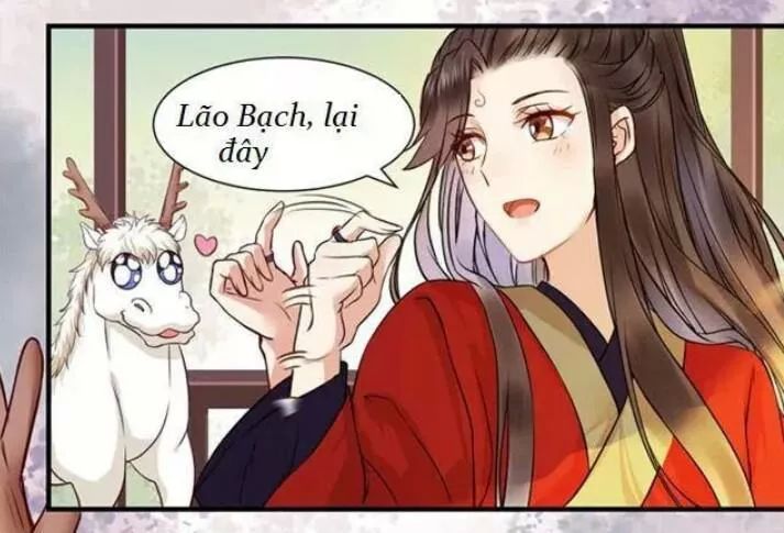 Tuyệt Sắc Quyến Rũ: Quỷ Y Chí Tôn Chapter 128 - Trang 2