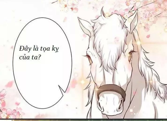 Tuyệt Sắc Quyến Rũ: Quỷ Y Chí Tôn Chapter 128 - Trang 2