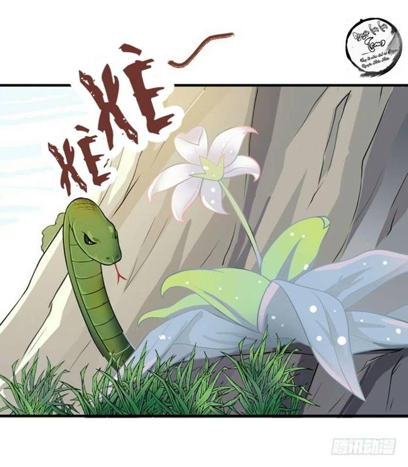 Tuyệt Sắc Quyến Rũ: Quỷ Y Chí Tôn Chapter 13 - Trang 2