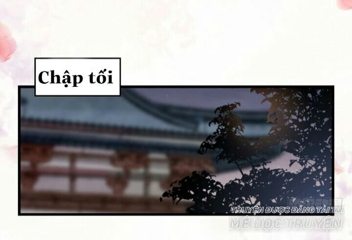 Tuyệt Sắc Quyến Rũ: Quỷ Y Chí Tôn Chapter 147 - Trang 2