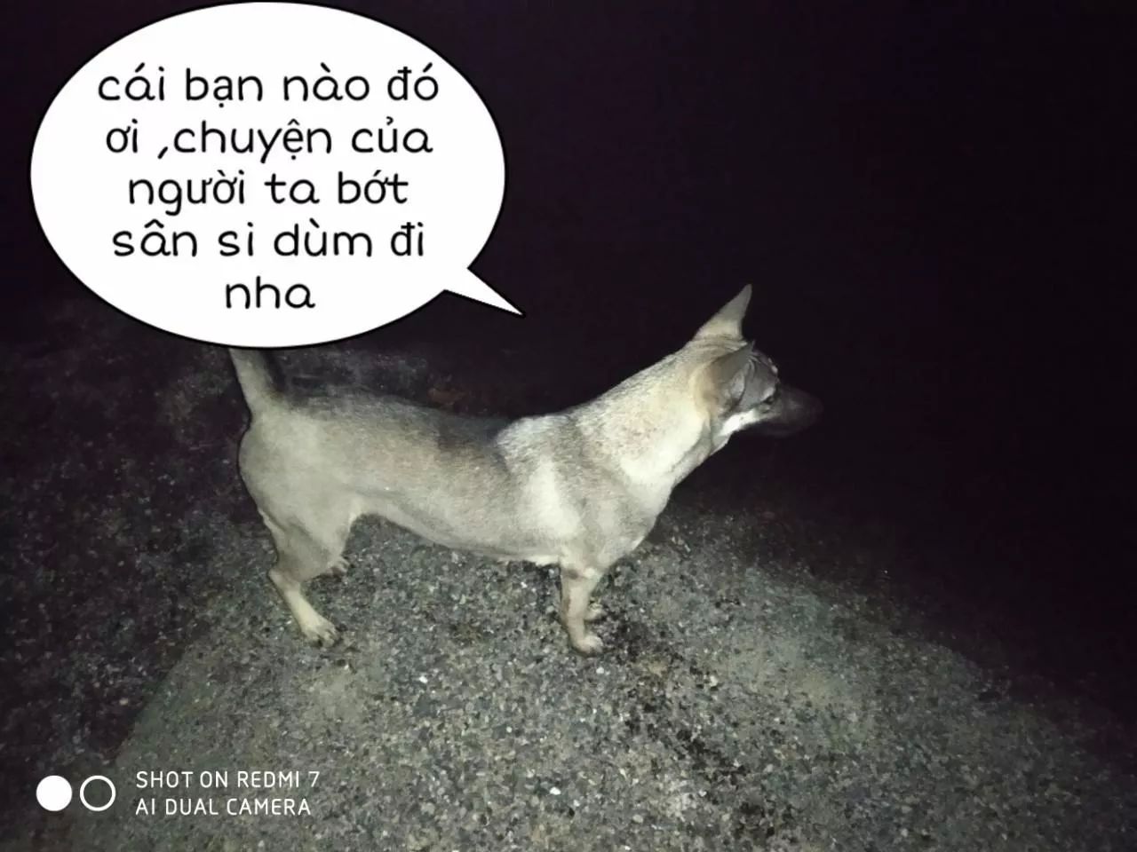 Tuyệt Sắc Quyến Rũ: Quỷ Y Chí Tôn Chapter 152 - Trang 2