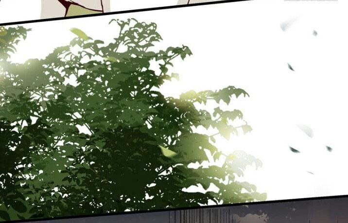 Tuyệt Sắc Quyến Rũ: Quỷ Y Chí Tôn Chapter 155 - Trang 2