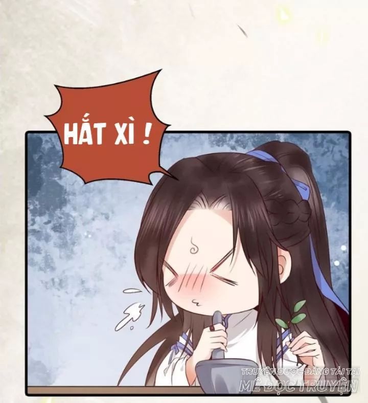 Tuyệt Sắc Quyến Rũ: Quỷ Y Chí Tôn Chapter 162 - Trang 2