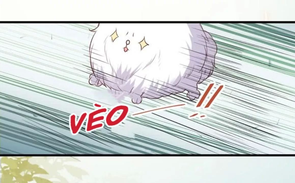 Tuyệt Sắc Quyến Rũ: Quỷ Y Chí Tôn Chapter 163 - Trang 2