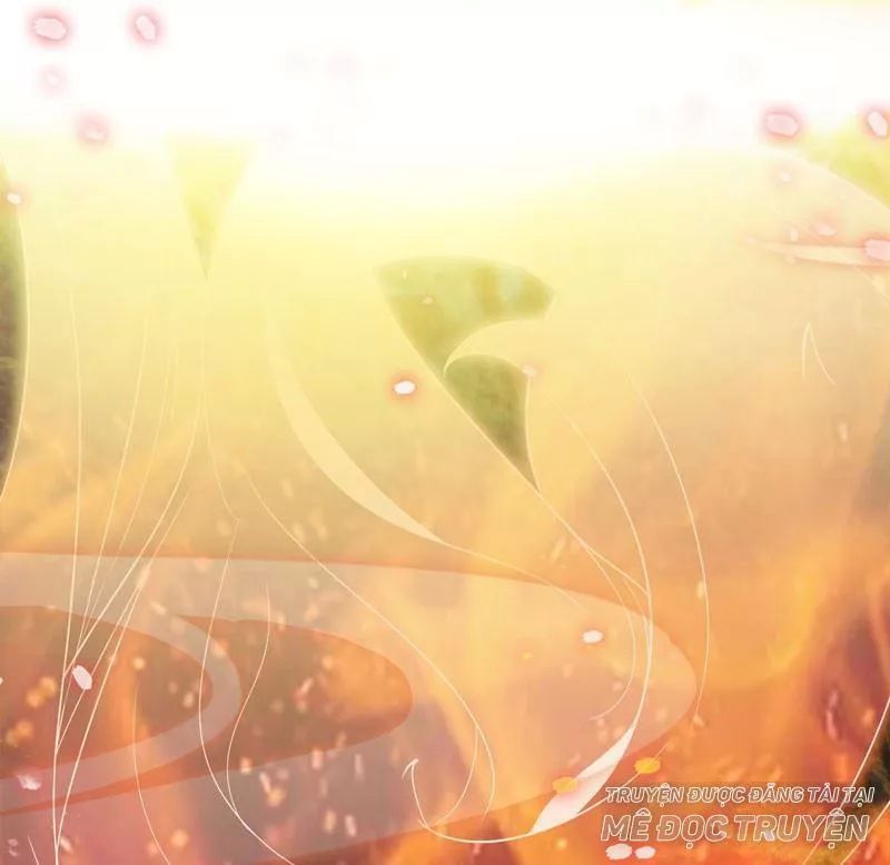 Tuyệt Sắc Quyến Rũ: Quỷ Y Chí Tôn Chapter 169 - Trang 2