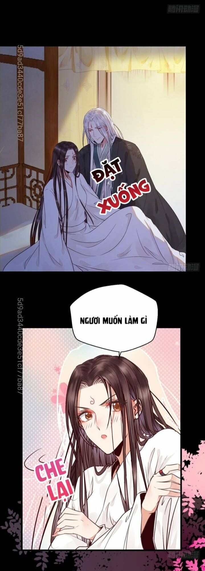 Tuyệt Sắc Quyến Rũ: Quỷ Y Chí Tôn Chapter 207 - Trang 2