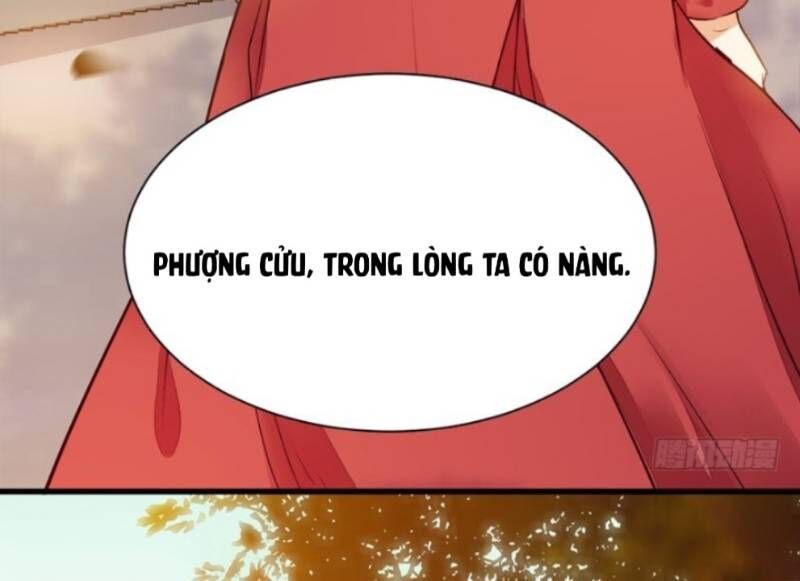 Tuyệt Sắc Quyến Rũ: Quỷ Y Chí Tôn Chapter 217 - Trang 2