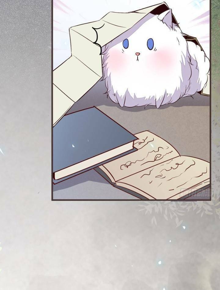 Tuyệt Sắc Quyến Rũ: Quỷ Y Chí Tôn Chapter 231 - Trang 2