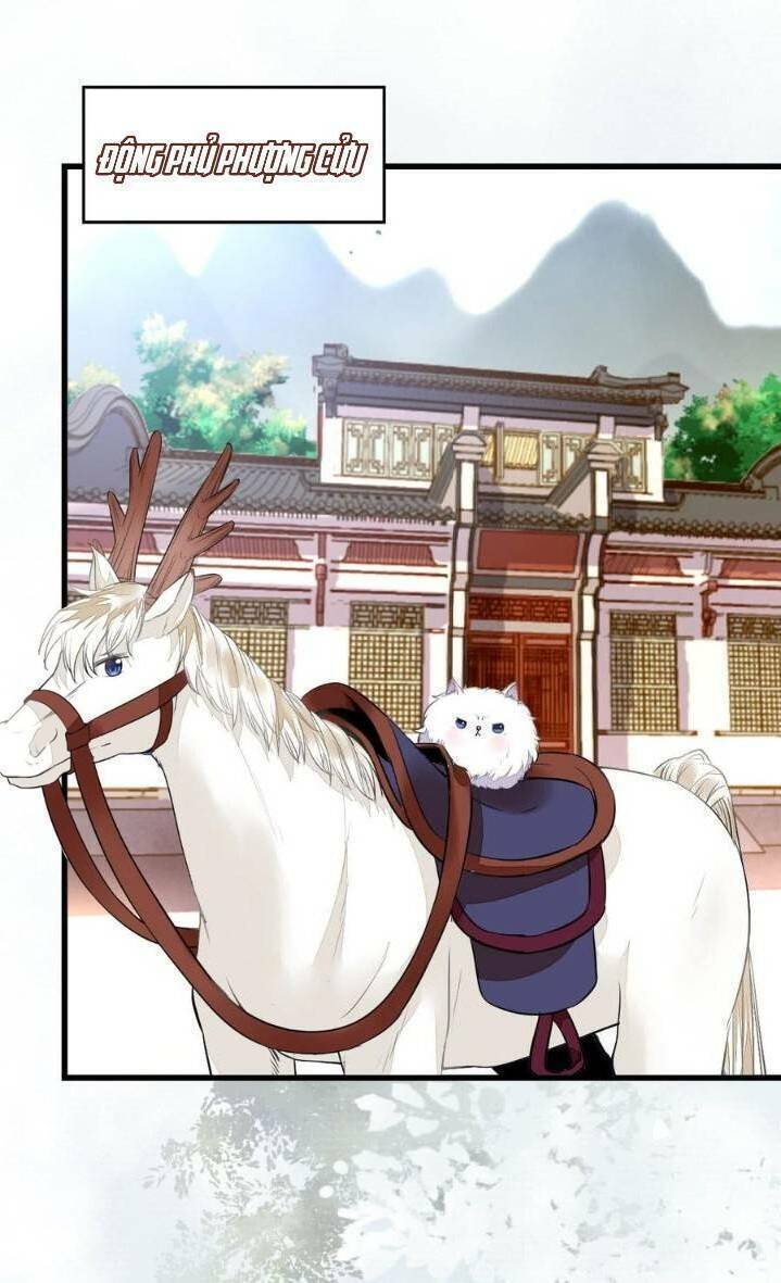 Tuyệt Sắc Quyến Rũ: Quỷ Y Chí Tôn Chapter 250 - Trang 2