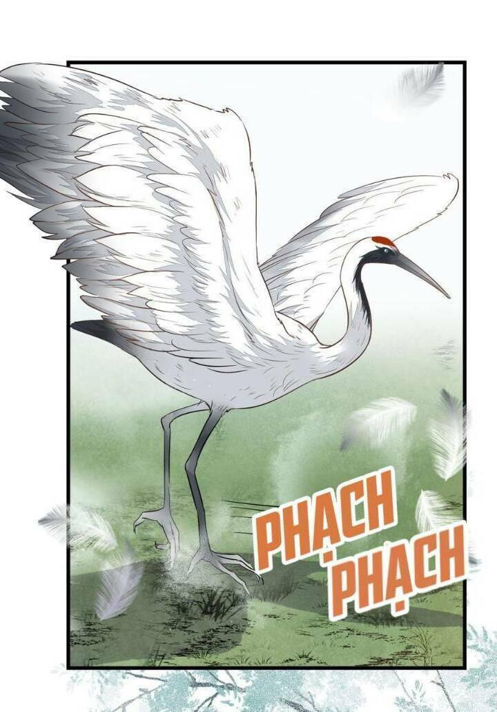 Tuyệt Sắc Quyến Rũ: Quỷ Y Chí Tôn Chapter 251 - Trang 2