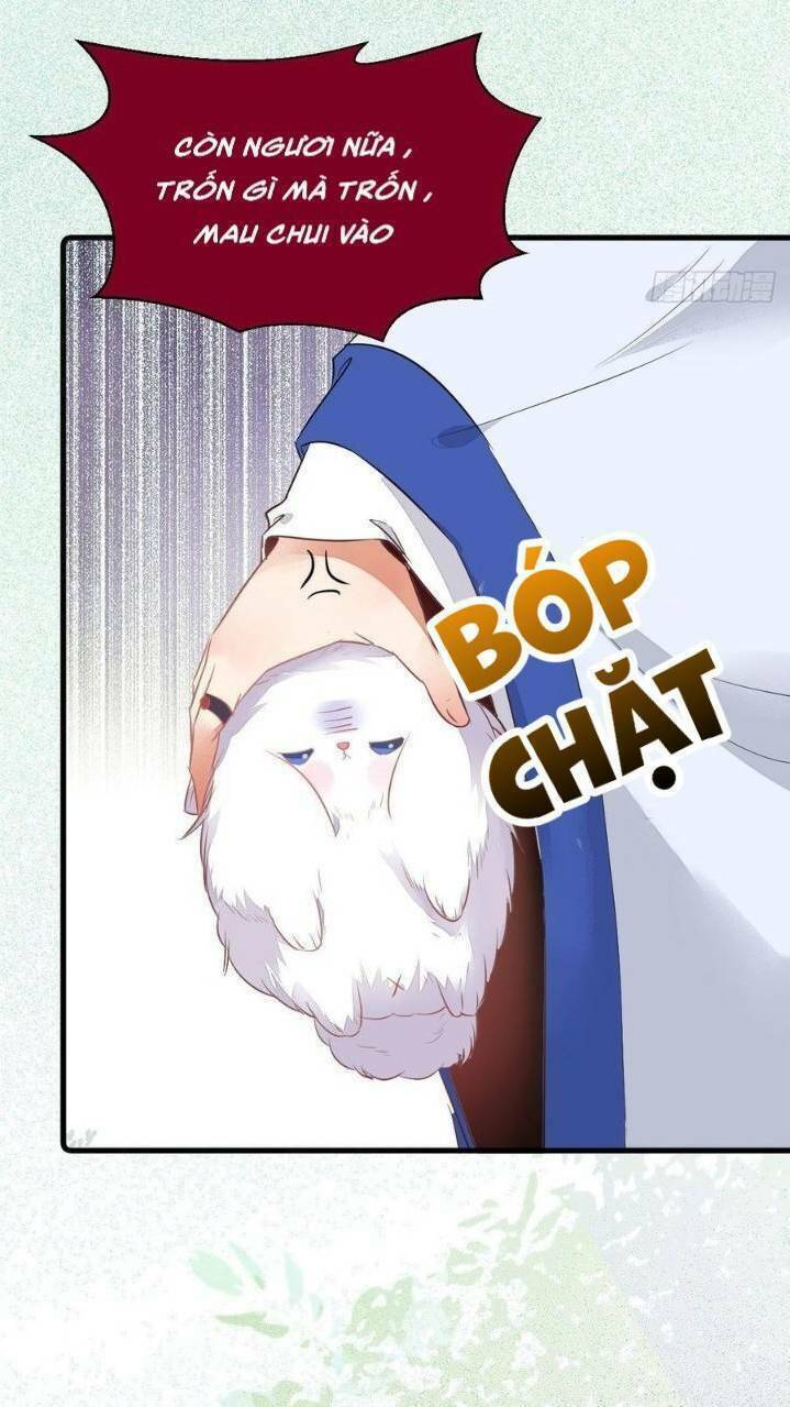 Tuyệt Sắc Quyến Rũ: Quỷ Y Chí Tôn Chapter 260 - Trang 2