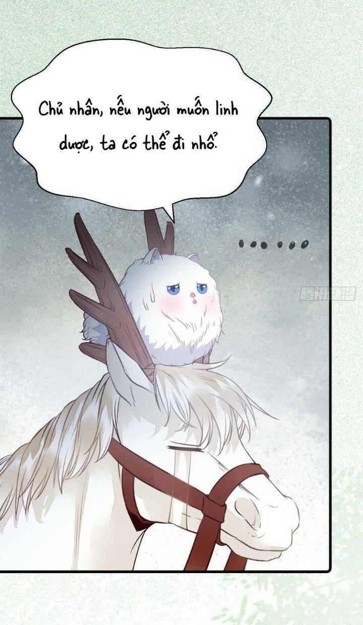 Tuyệt Sắc Quyến Rũ: Quỷ Y Chí Tôn Chapter 260 - Trang 2