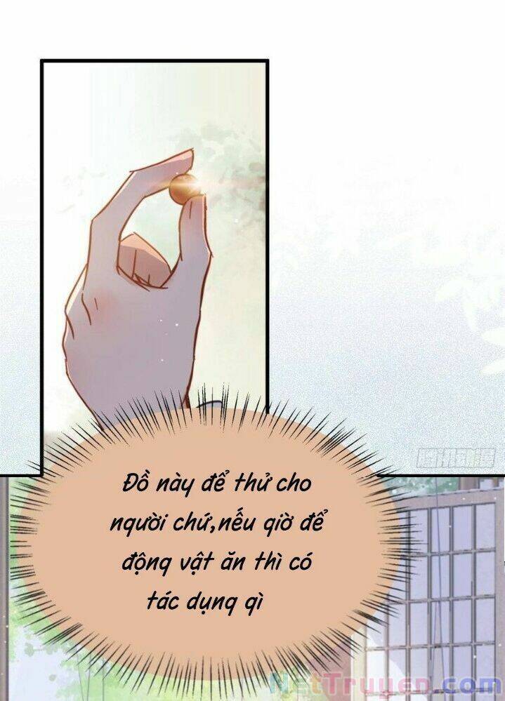 Tuyệt Sắc Quyến Rũ: Quỷ Y Chí Tôn Chapter 262 - Trang 2