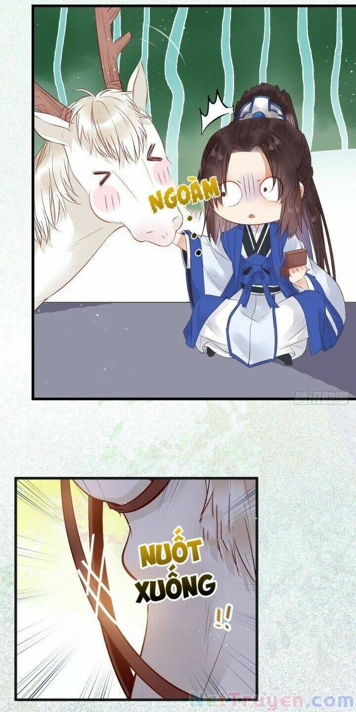 Tuyệt Sắc Quyến Rũ: Quỷ Y Chí Tôn Chapter 262 - Trang 2