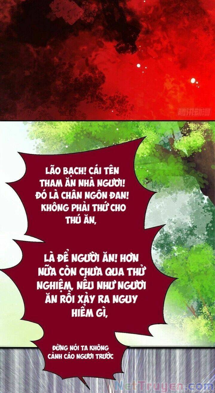 Tuyệt Sắc Quyến Rũ: Quỷ Y Chí Tôn Chapter 262 - Trang 2