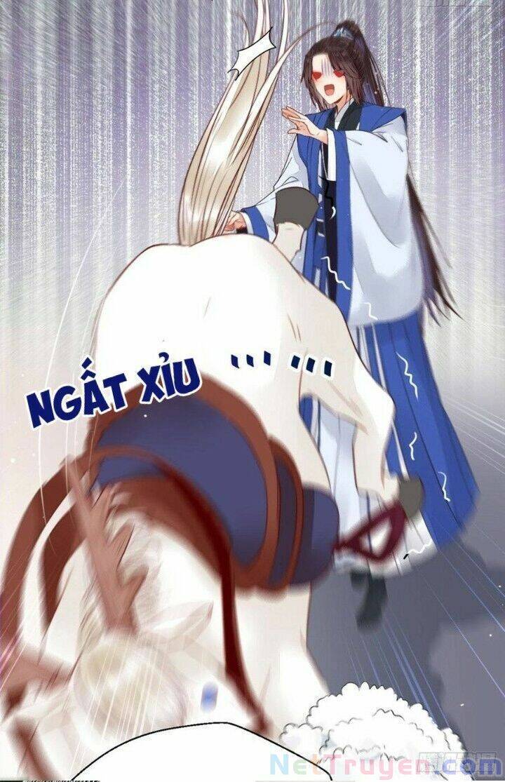 Tuyệt Sắc Quyến Rũ: Quỷ Y Chí Tôn Chapter 262 - Trang 2