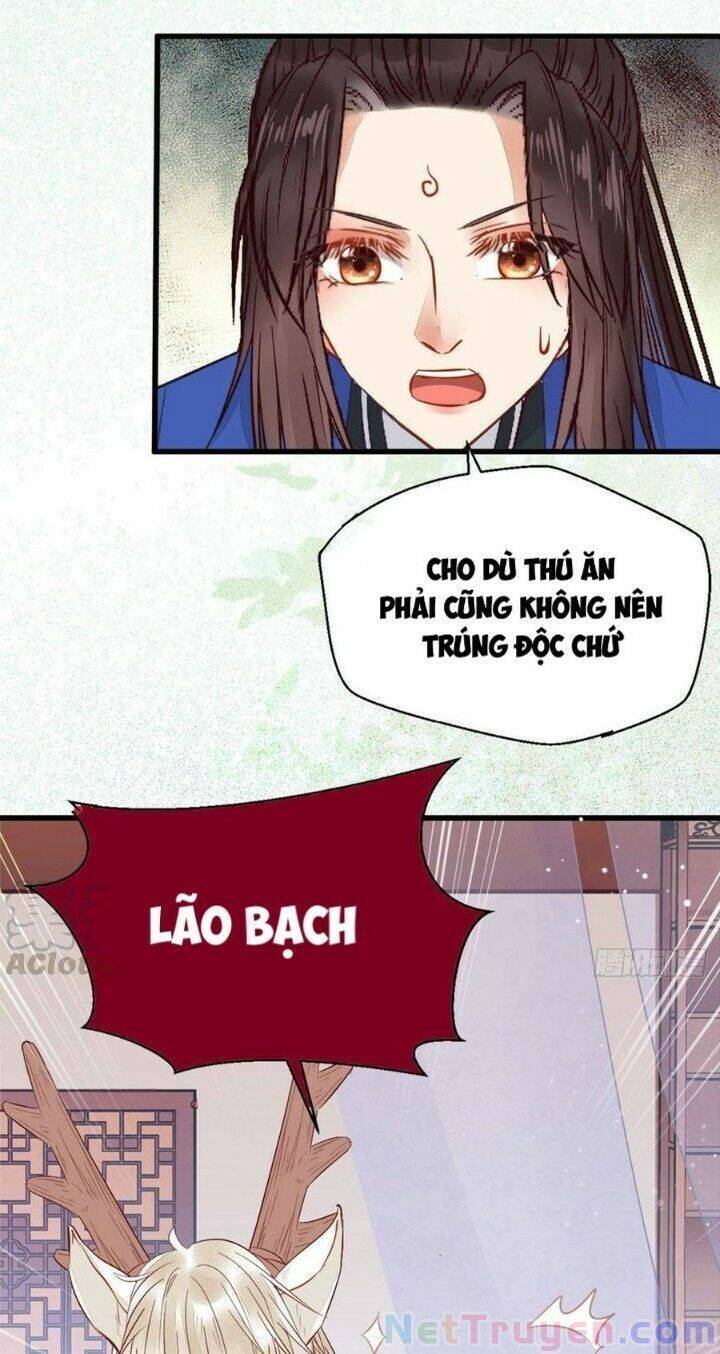 Tuyệt Sắc Quyến Rũ: Quỷ Y Chí Tôn Chapter 262 - Trang 2