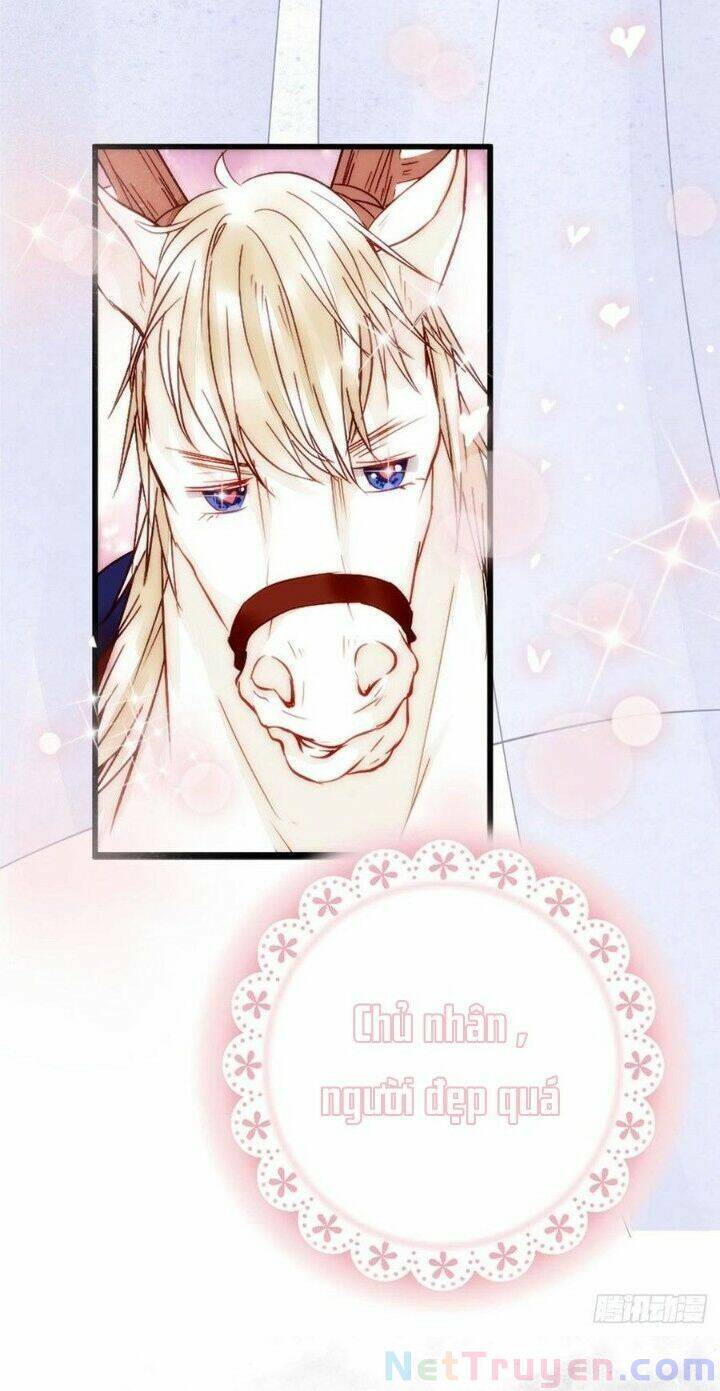 Tuyệt Sắc Quyến Rũ: Quỷ Y Chí Tôn Chapter 262 - Trang 2