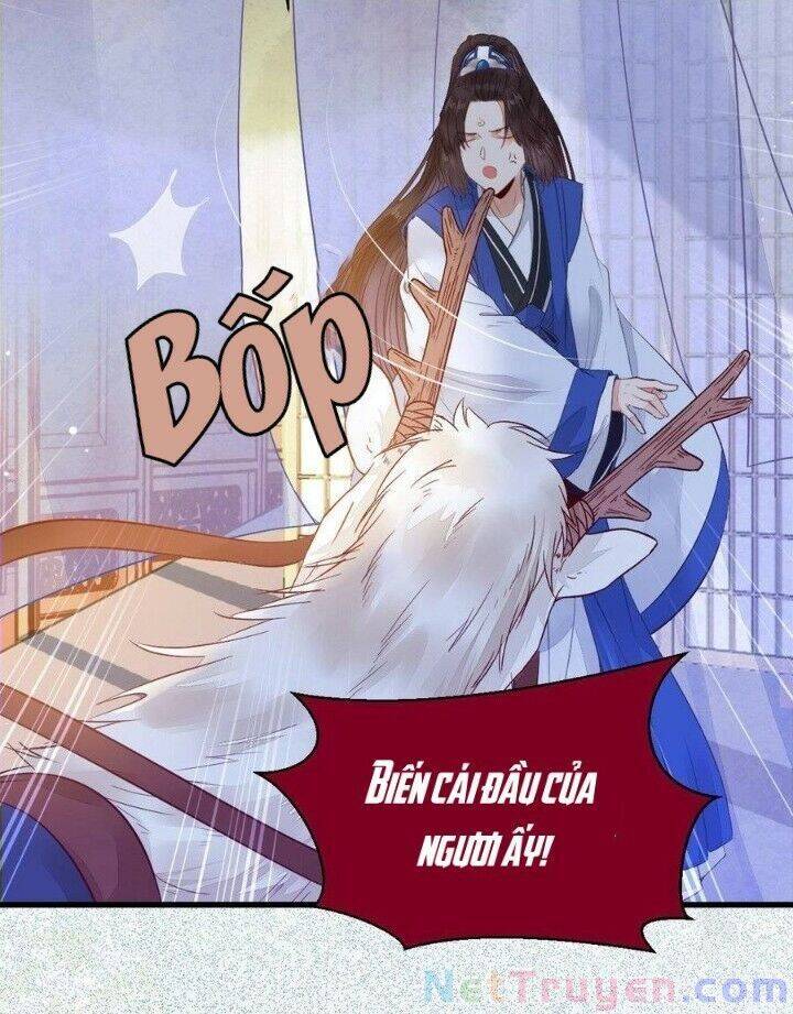 Tuyệt Sắc Quyến Rũ: Quỷ Y Chí Tôn Chapter 263 - Trang 2