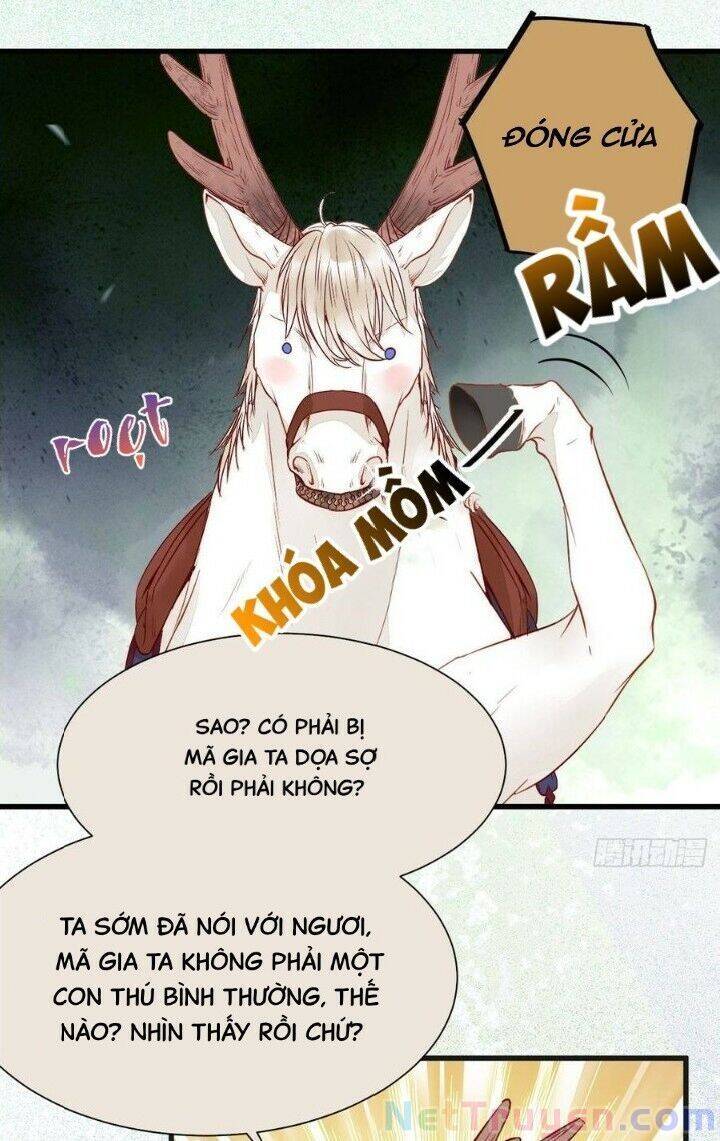 Tuyệt Sắc Quyến Rũ: Quỷ Y Chí Tôn Chapter 263 - Trang 2