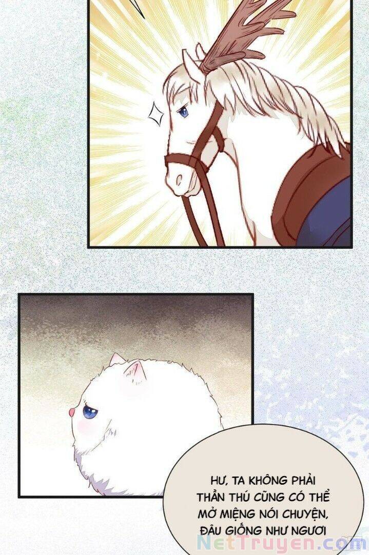 Tuyệt Sắc Quyến Rũ: Quỷ Y Chí Tôn Chapter 263 - Trang 2