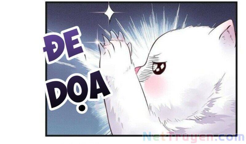 Tuyệt Sắc Quyến Rũ: Quỷ Y Chí Tôn Chapter 263 - Trang 2