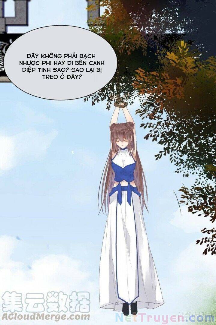 Tuyệt Sắc Quyến Rũ: Quỷ Y Chí Tôn Chapter 263 - Trang 2