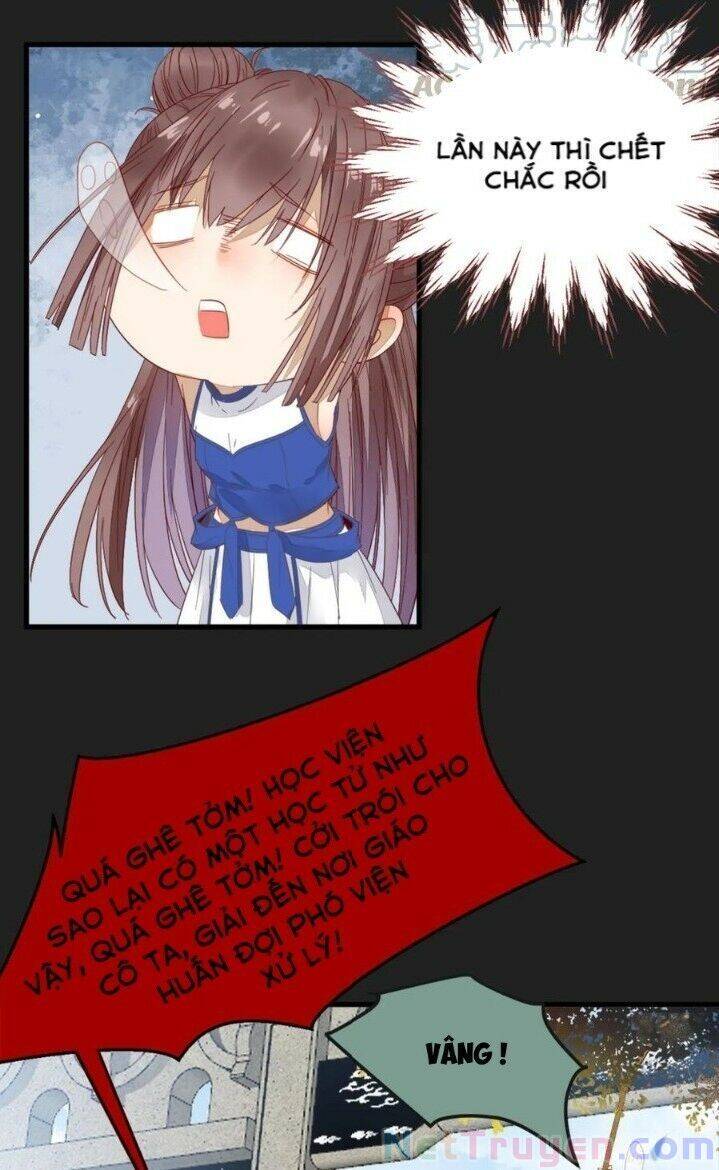 Tuyệt Sắc Quyến Rũ: Quỷ Y Chí Tôn Chapter 264 - Trang 2