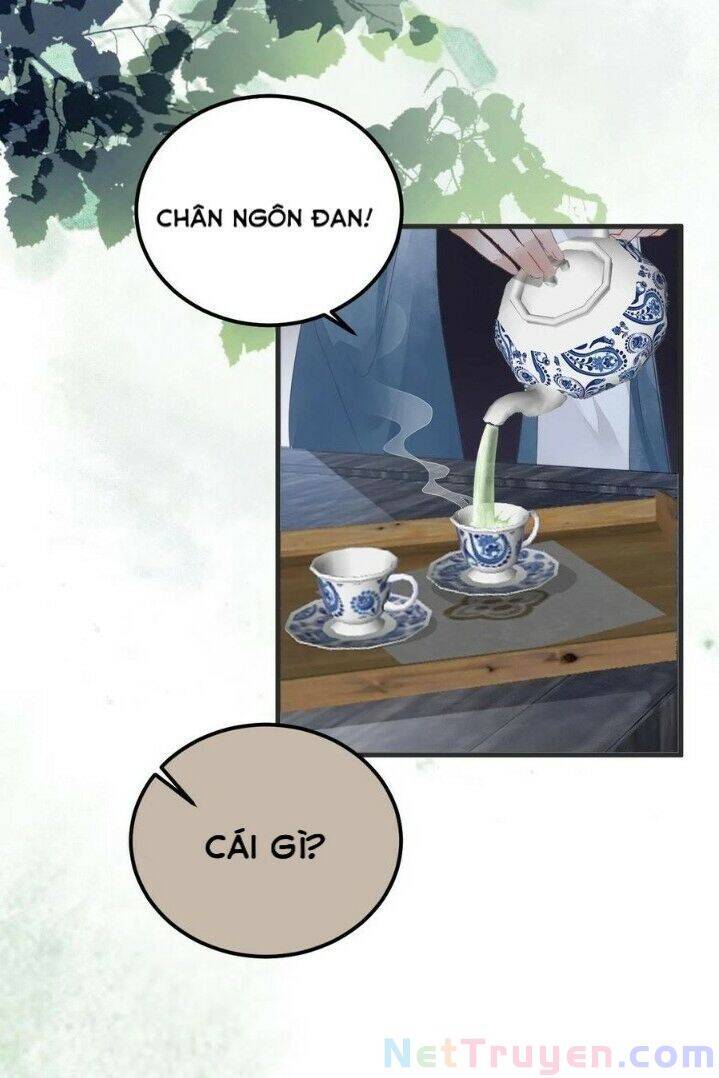 Tuyệt Sắc Quyến Rũ: Quỷ Y Chí Tôn Chapter 264 - Trang 2