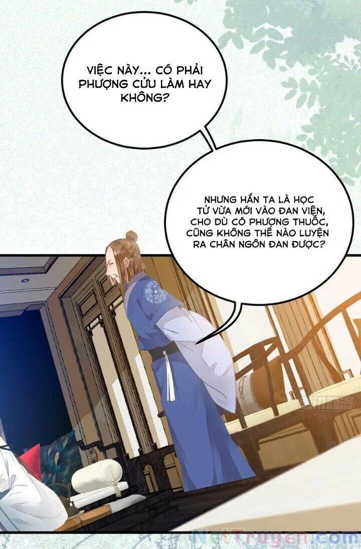 Tuyệt Sắc Quyến Rũ: Quỷ Y Chí Tôn Chapter 264 - Trang 2