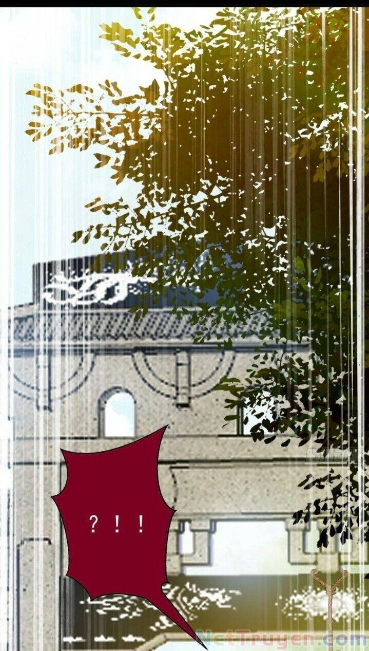 Tuyệt Sắc Quyến Rũ: Quỷ Y Chí Tôn Chapter 264 - Trang 2