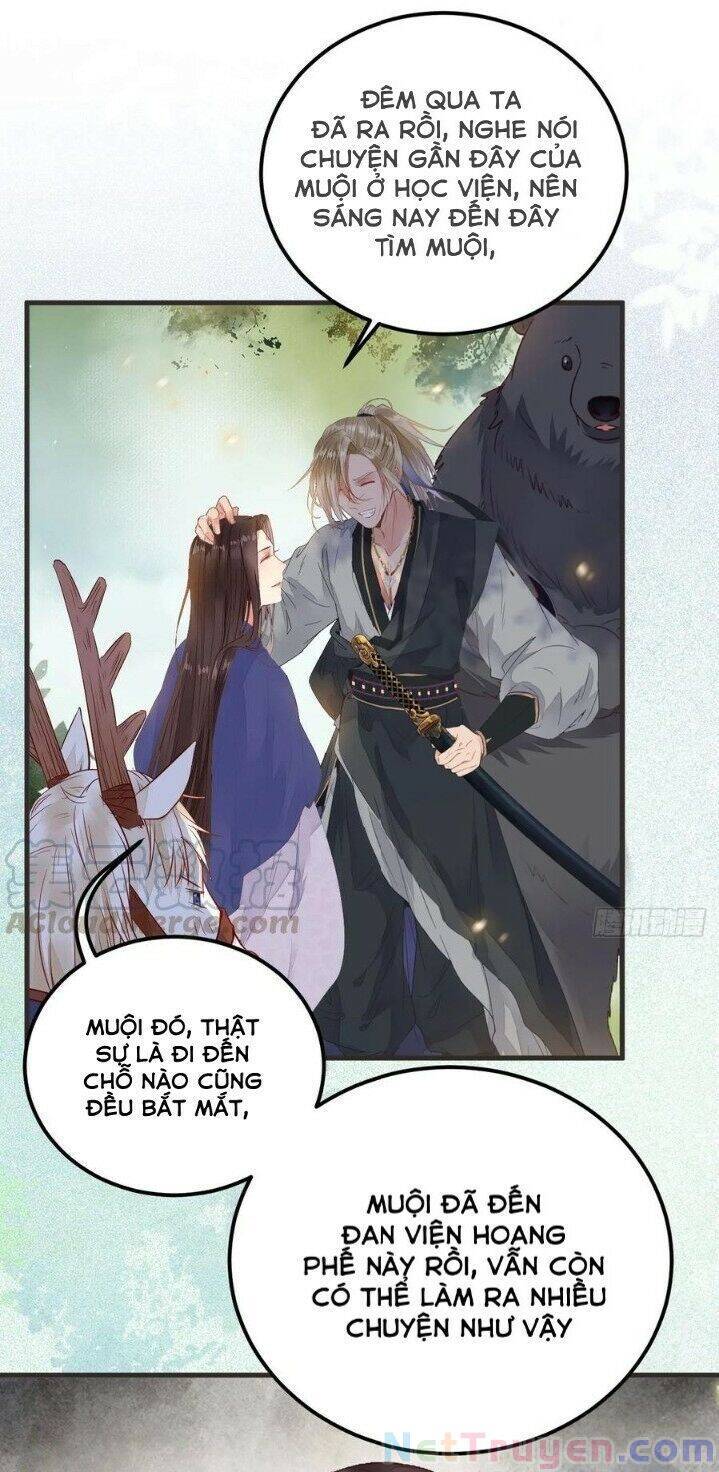 Tuyệt Sắc Quyến Rũ: Quỷ Y Chí Tôn Chapter 265 - Trang 2