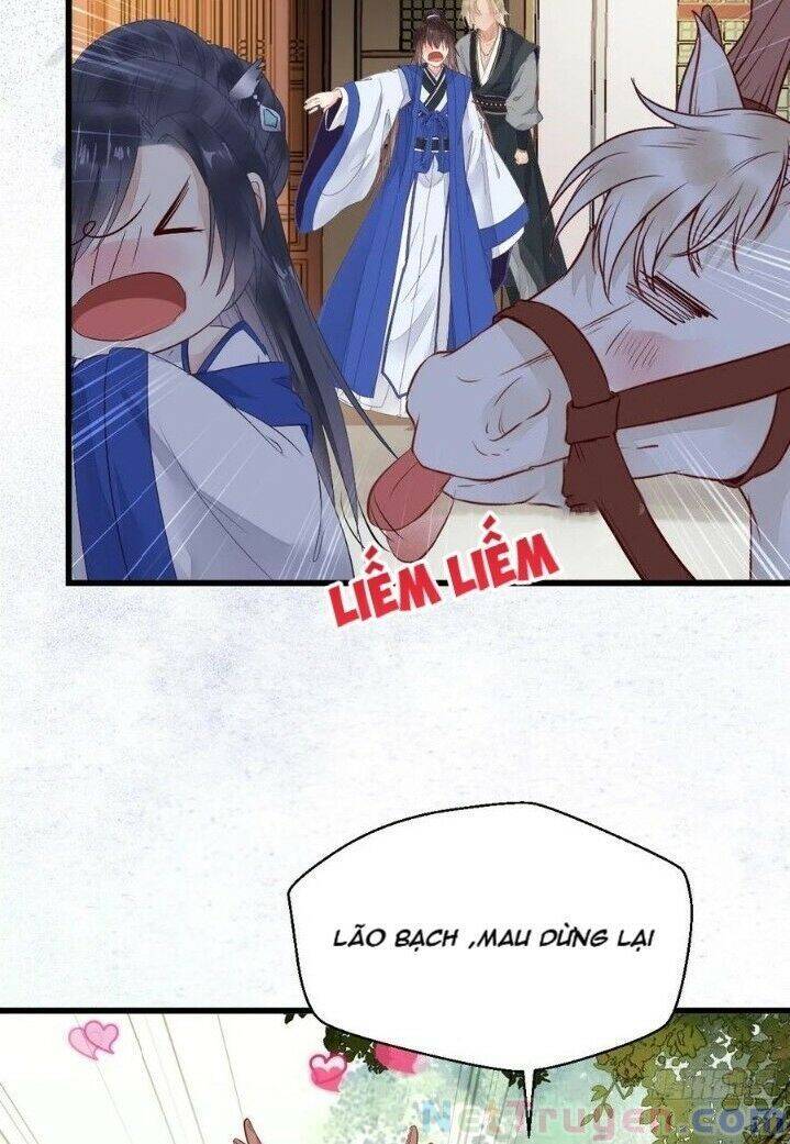 Tuyệt Sắc Quyến Rũ: Quỷ Y Chí Tôn Chapter 265 - Trang 2