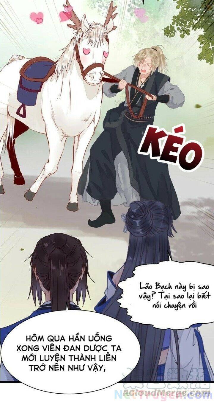 Tuyệt Sắc Quyến Rũ: Quỷ Y Chí Tôn Chapter 265 - Trang 2