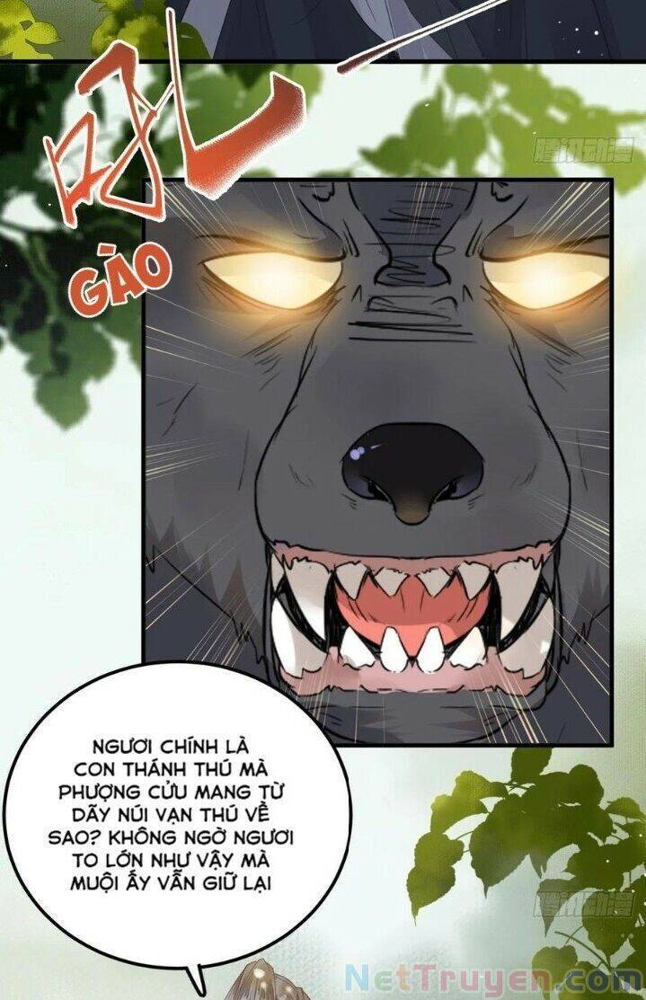 Tuyệt Sắc Quyến Rũ: Quỷ Y Chí Tôn Chapter 265 - Trang 2