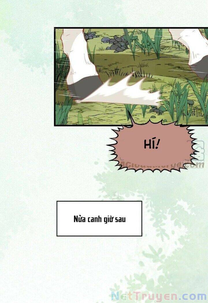 Tuyệt Sắc Quyến Rũ: Quỷ Y Chí Tôn Chapter 265 - Trang 2