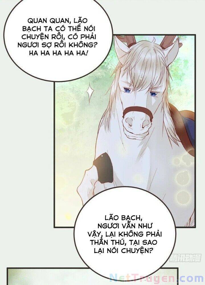 Tuyệt Sắc Quyến Rũ: Quỷ Y Chí Tôn Chapter 265 - Trang 2