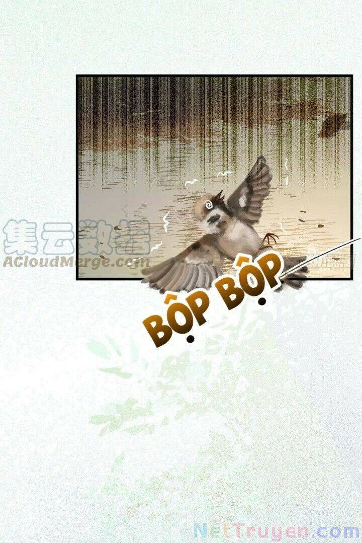 Tuyệt Sắc Quyến Rũ: Quỷ Y Chí Tôn Chapter 267 - Trang 2