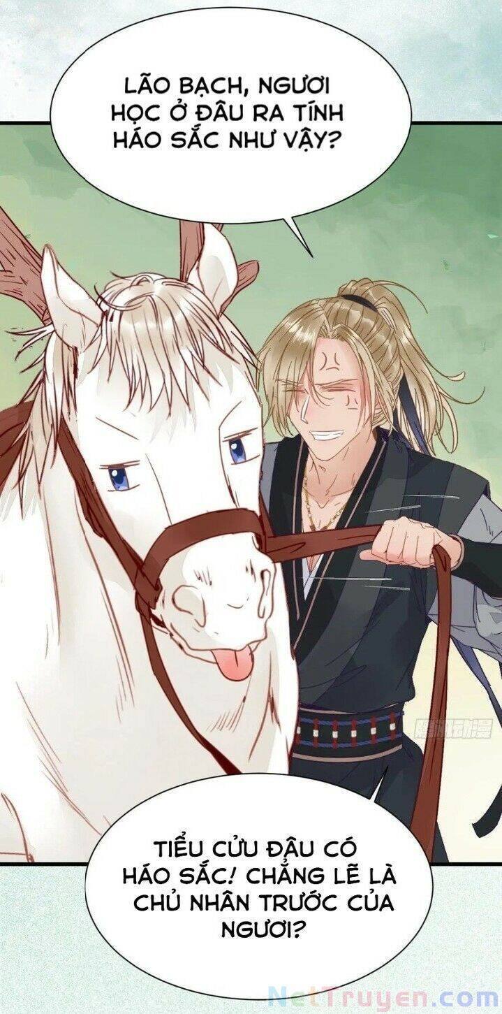 Tuyệt Sắc Quyến Rũ: Quỷ Y Chí Tôn Chapter 267 - Trang 2