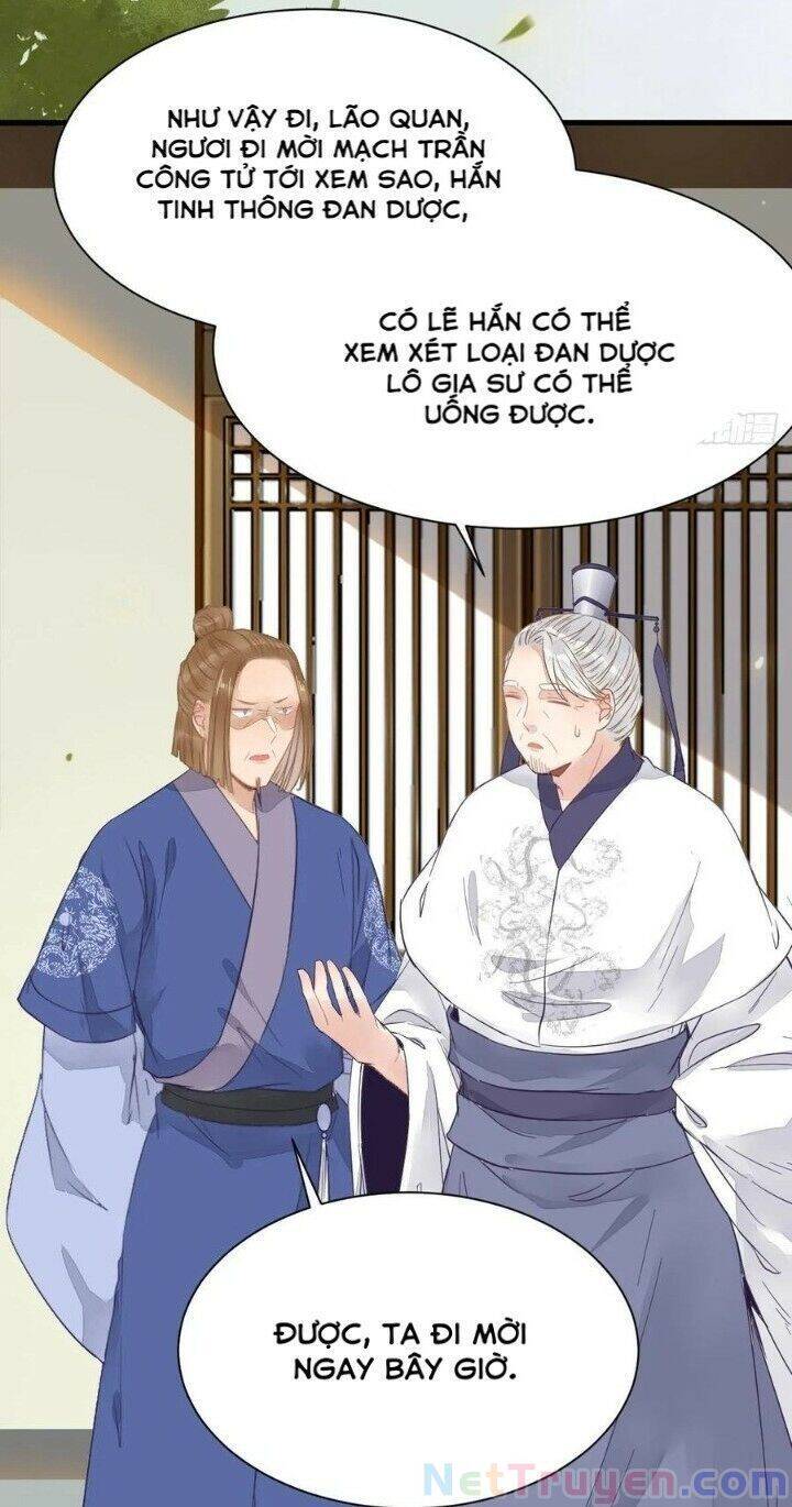 Tuyệt Sắc Quyến Rũ: Quỷ Y Chí Tôn Chapter 267 - Trang 2