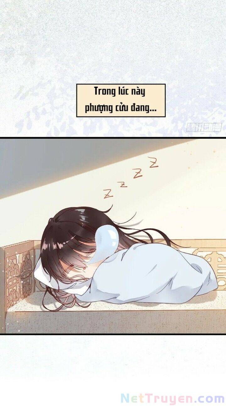 Tuyệt Sắc Quyến Rũ: Quỷ Y Chí Tôn Chapter 267 - Trang 2