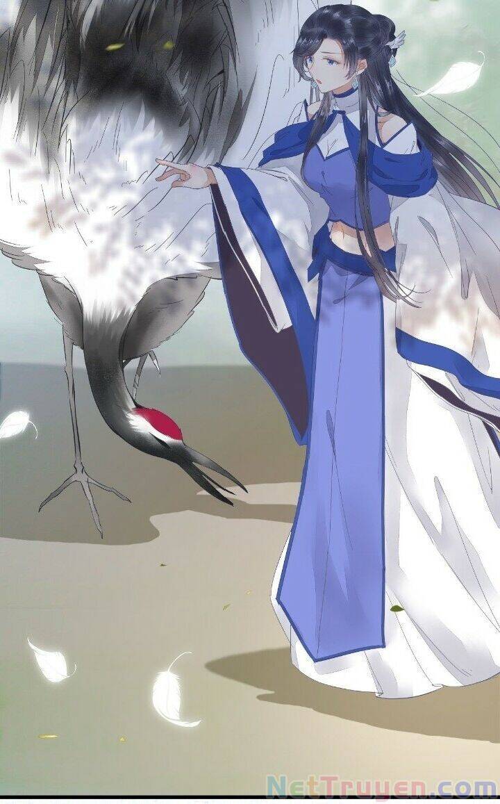 Tuyệt Sắc Quyến Rũ: Quỷ Y Chí Tôn Chapter 268 - Trang 2